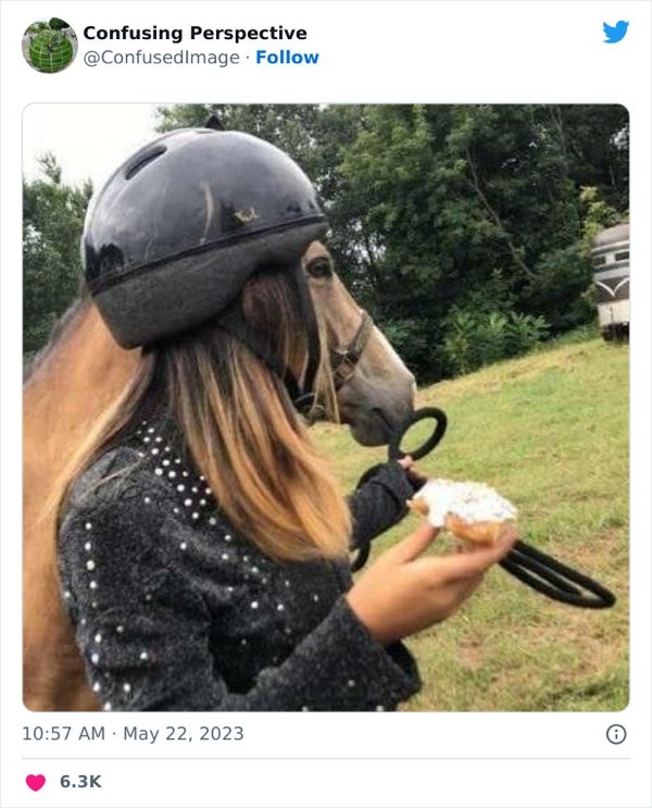 opticalillusions5_009