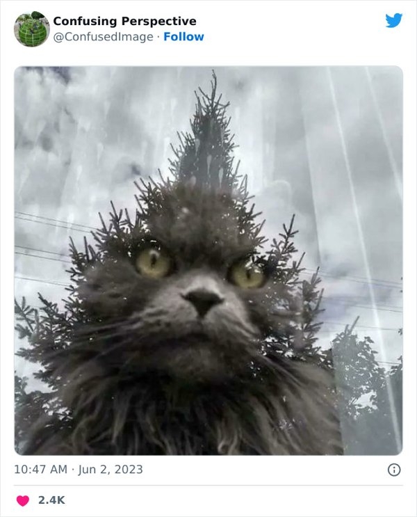 opticalillusions5_010