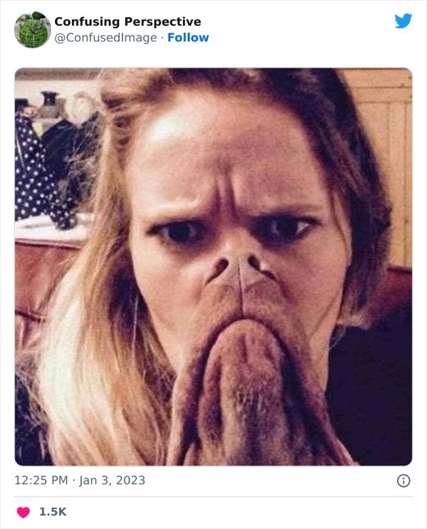 opticalillusions5_012