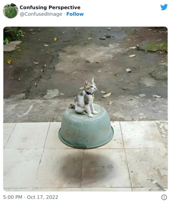 opticalillusions5_016