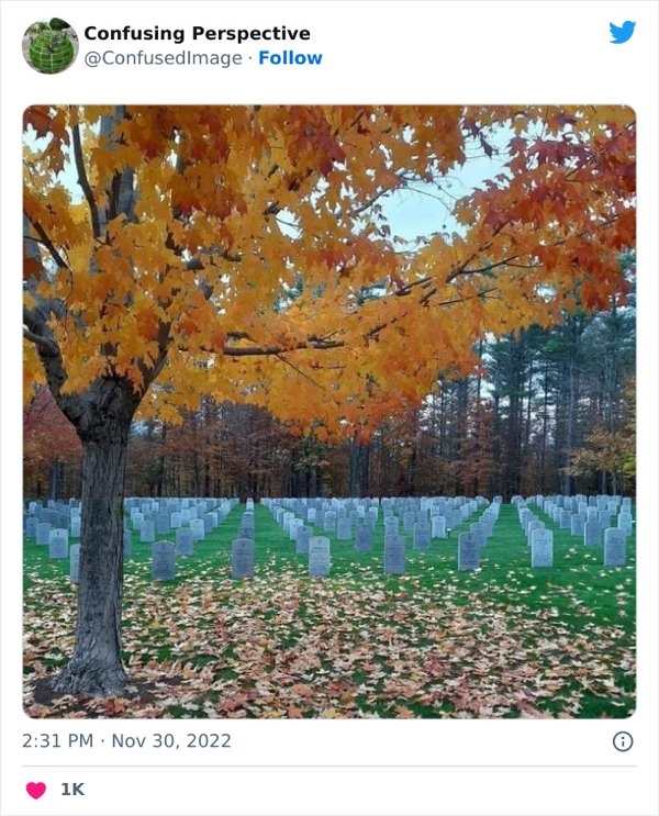 opticalillusions5_018