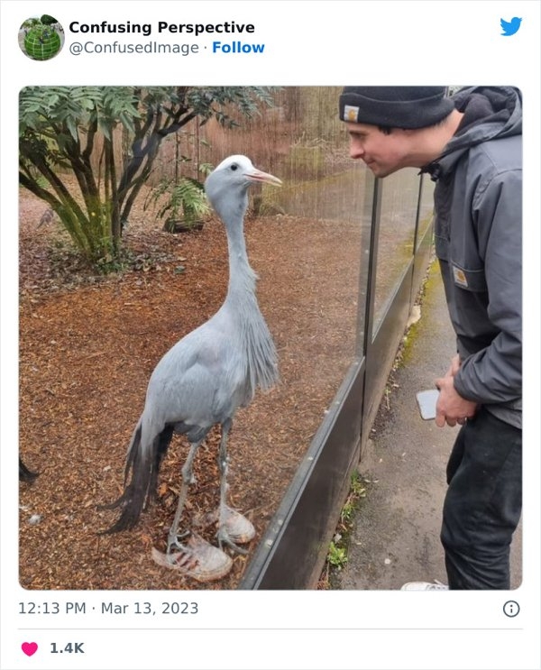 opticalillusions5_019