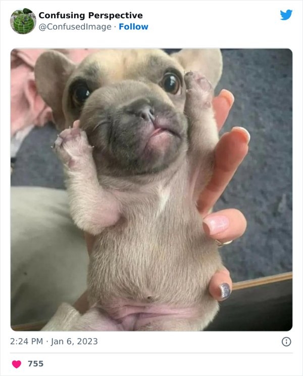 opticalillusions5_022