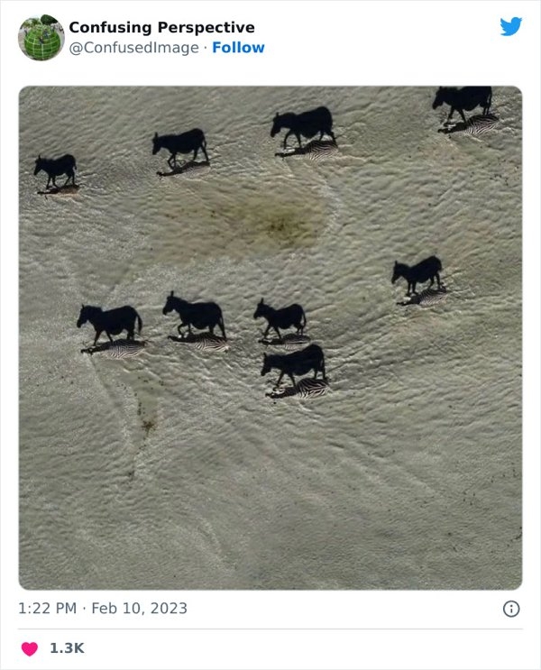 opticalillusions5_023