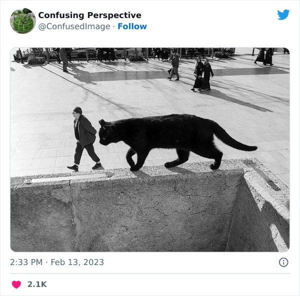 opticalillusions5_024