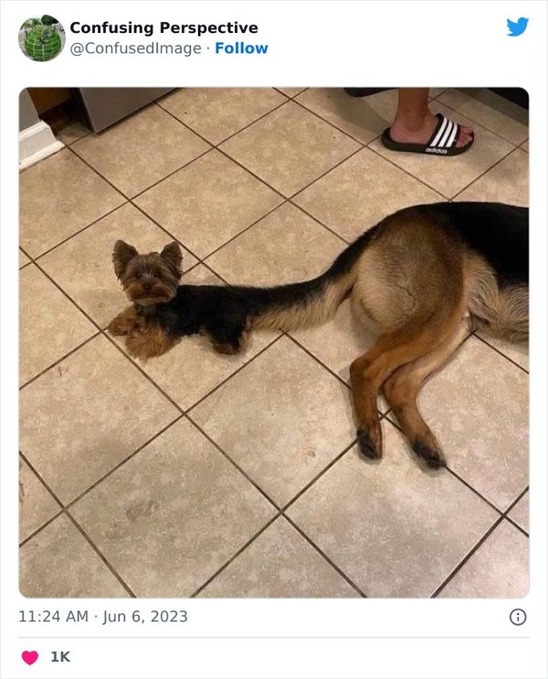 opticalillusions5_027