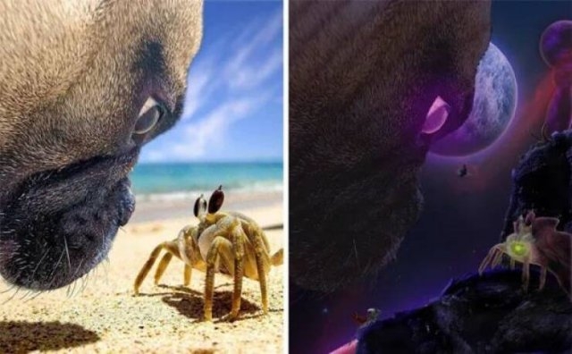 photoshopfails10_001