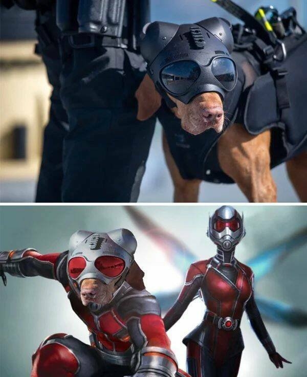 photoshopfails10_003