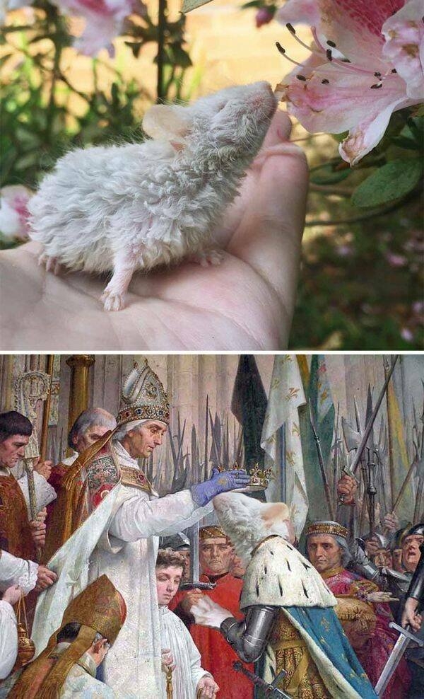 photoshopfails10_007