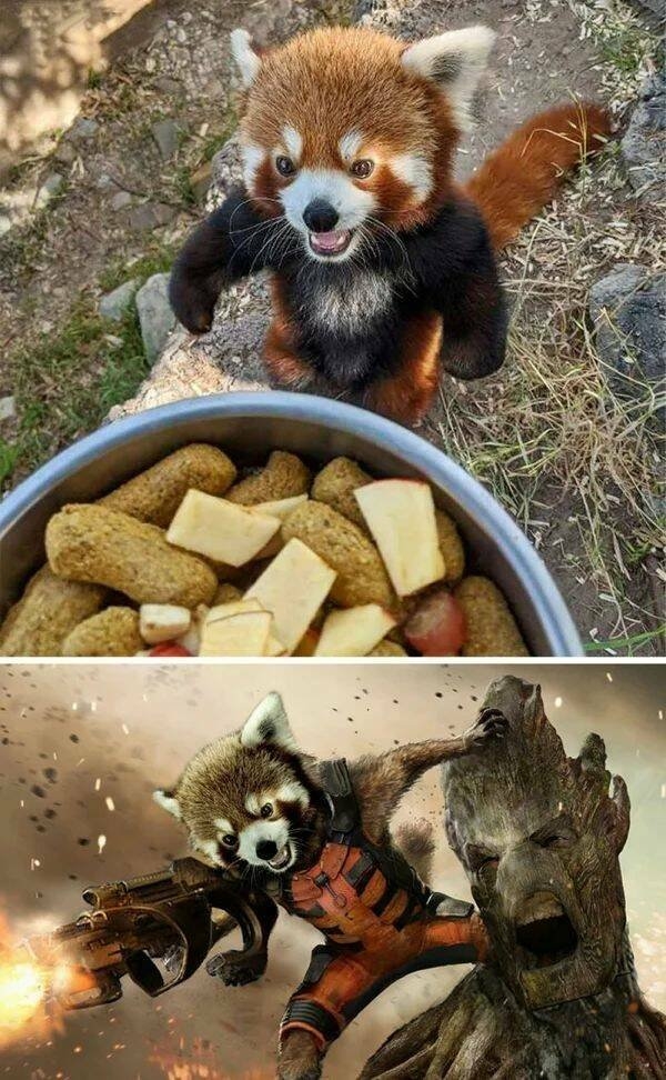 photoshopfails10_008