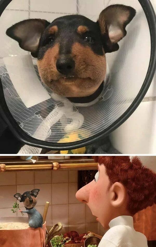 photoshopfails10_014