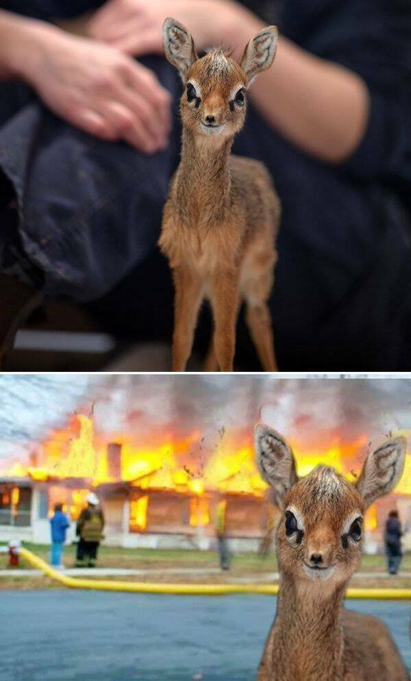 photoshopfails10_015