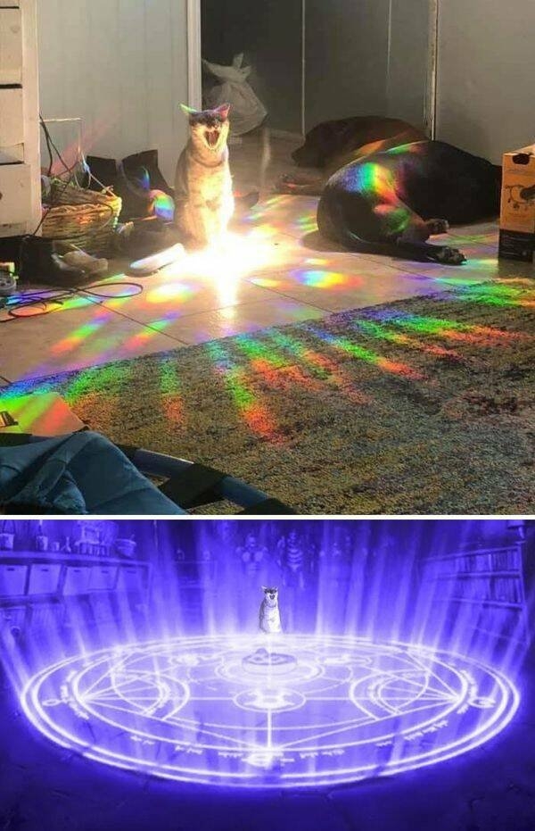 photoshopfails10_017