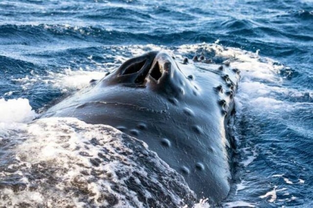 randompics798_010