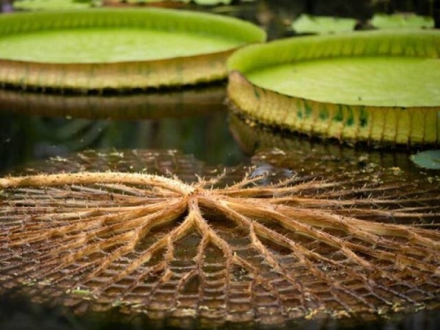 randompics798_019