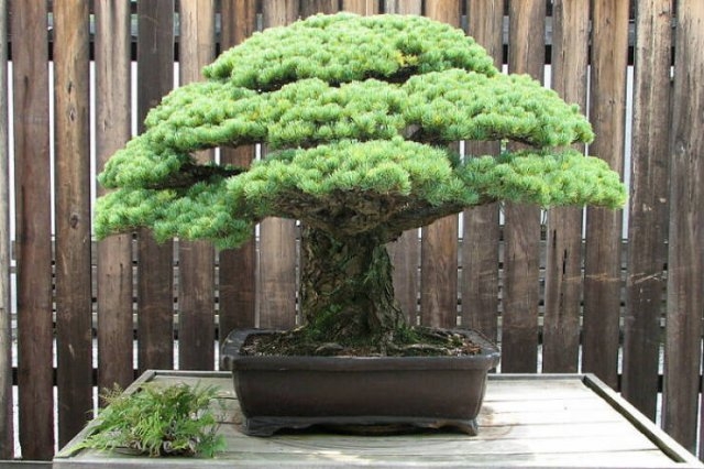 randompics798_069
