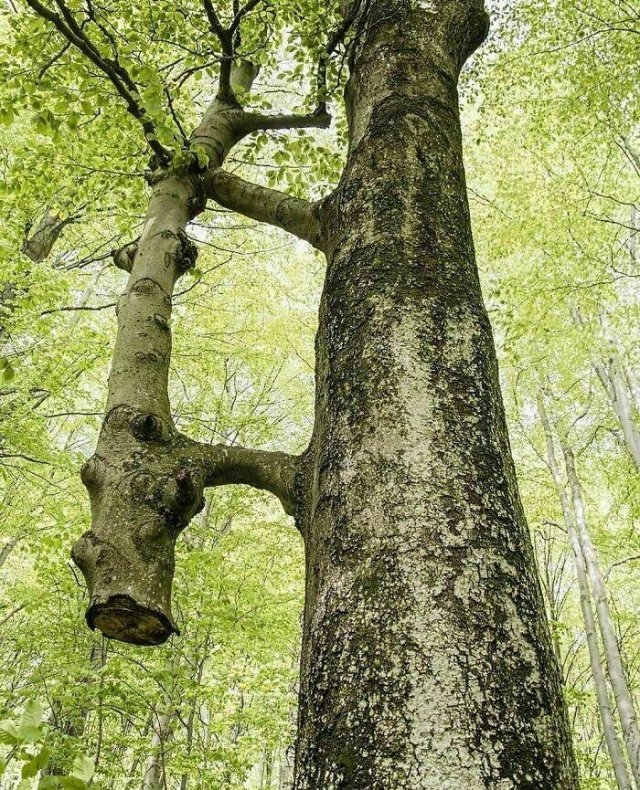 randompics798_070