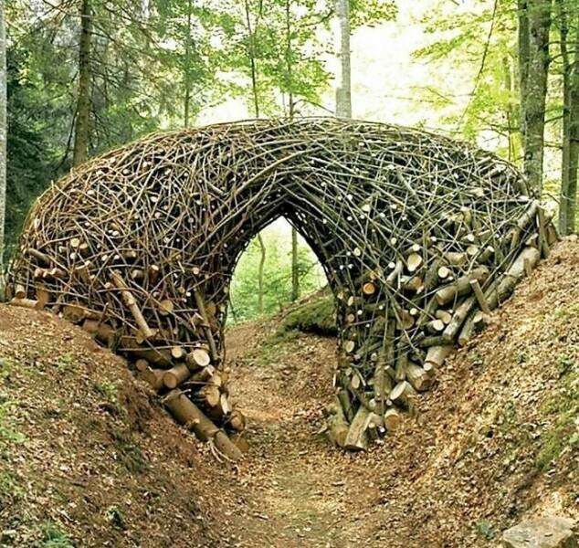 randompics798_079