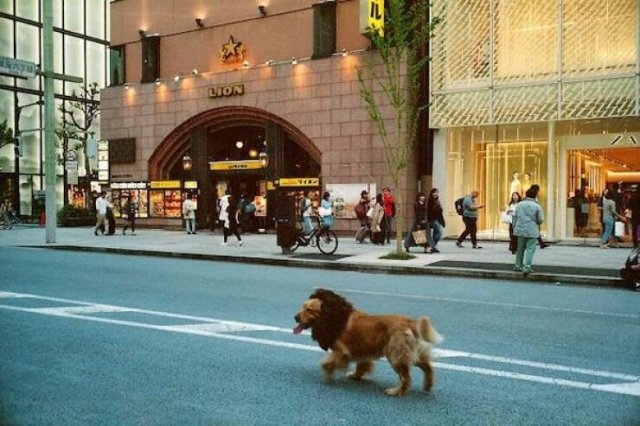 randompics813_072