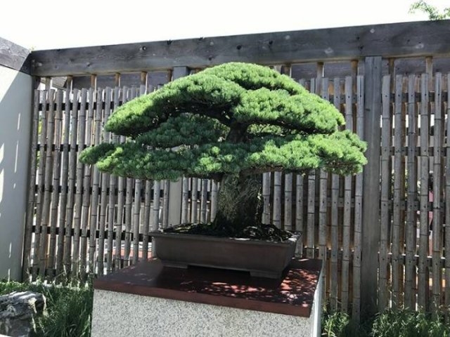 randompics816_073