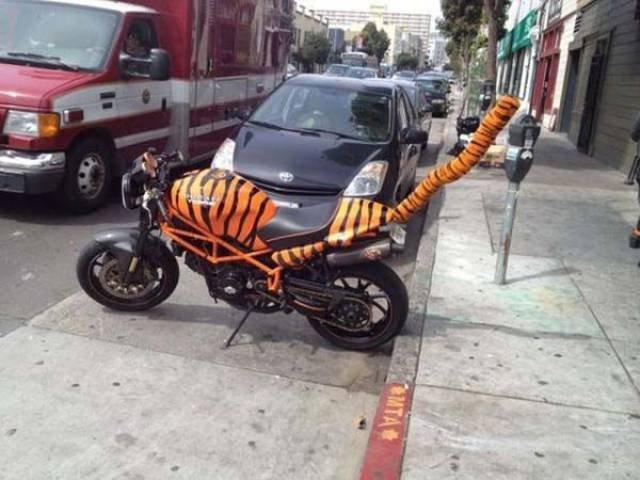 randompics820_075