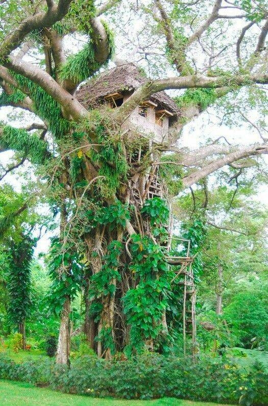 randompics831_052