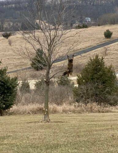 randompics833_056