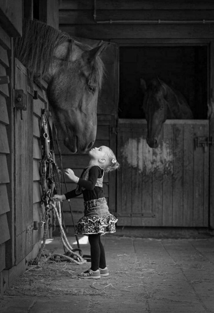 randompics833_057