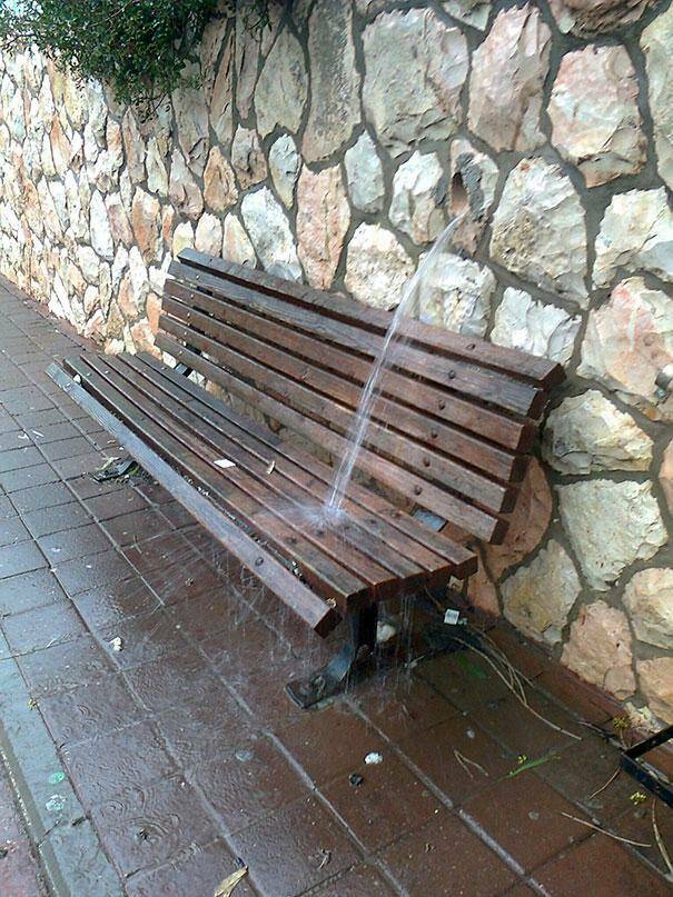 randompics834_072