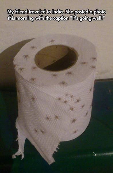 randompics836_063