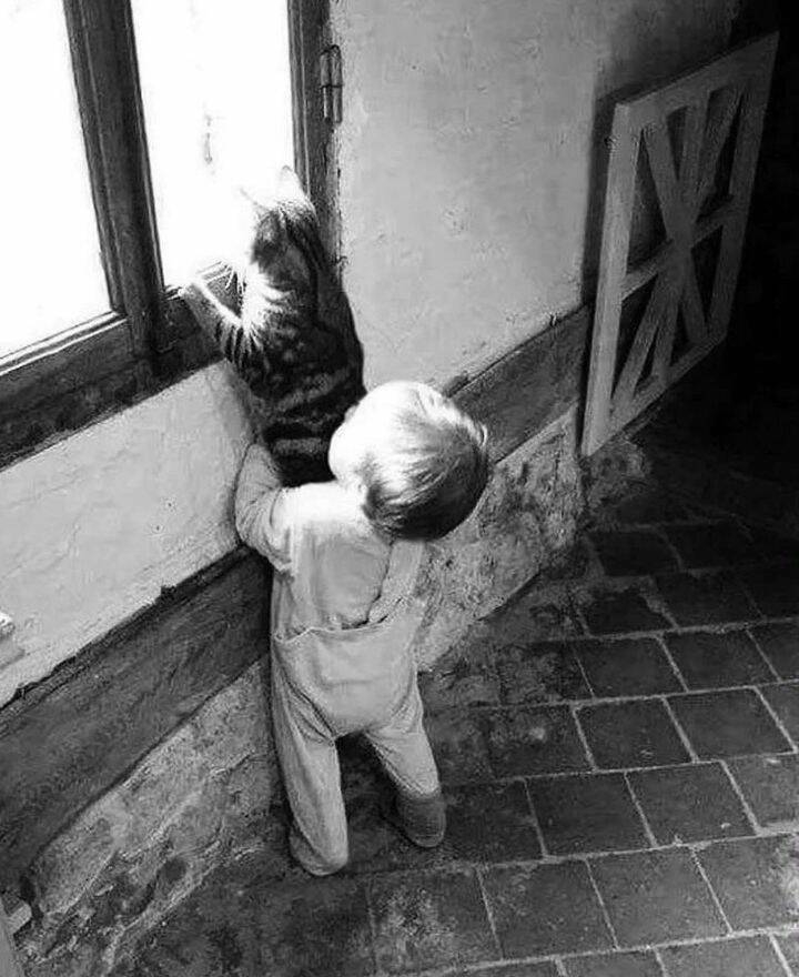 randompics850_076