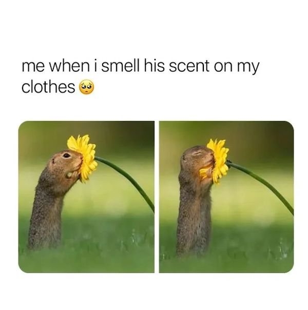 relationshipmemes6_005