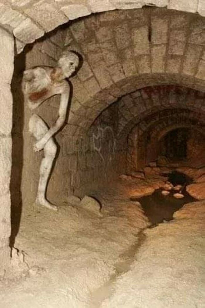 scarypictures11_010