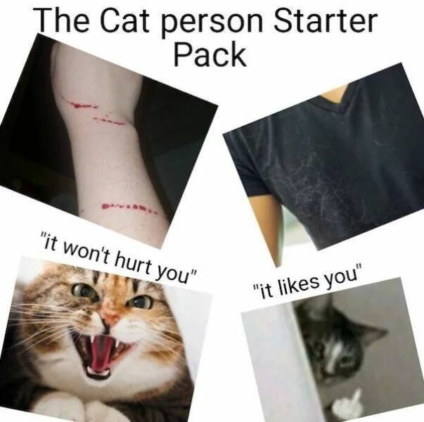 starterpacks_007