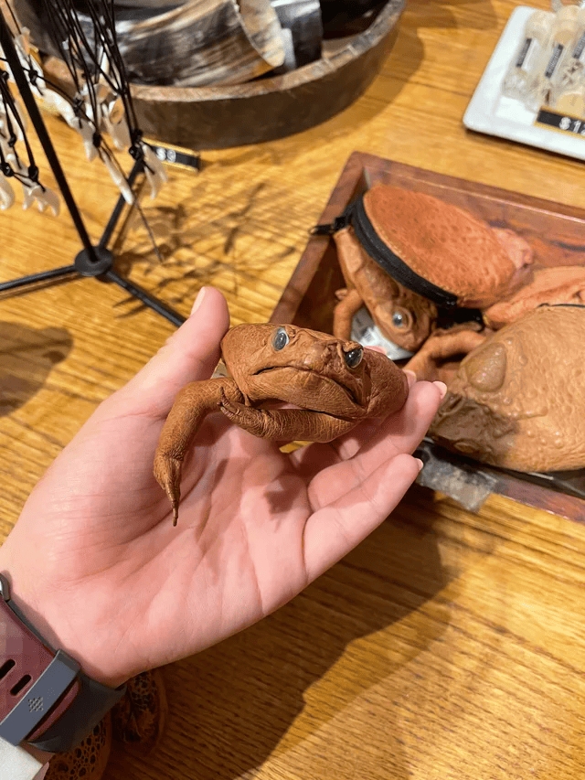 strangedesigns21_005