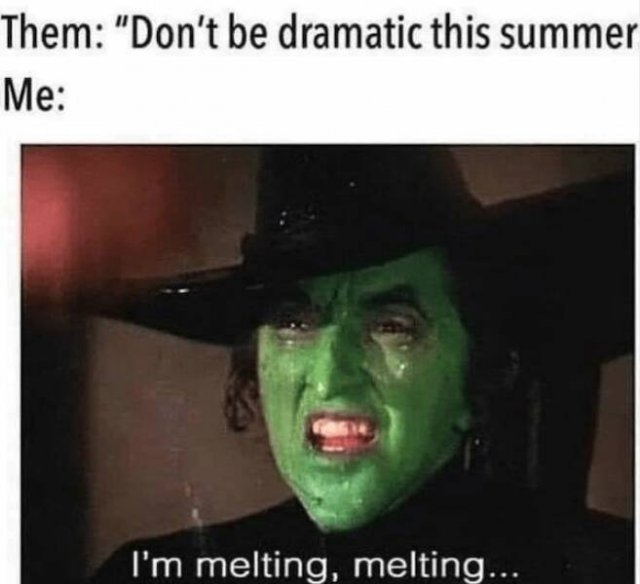 summermemes2_004