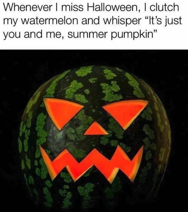 summermemes2_008