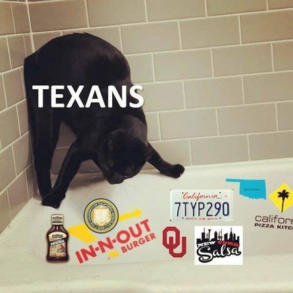 texasmemes3_025