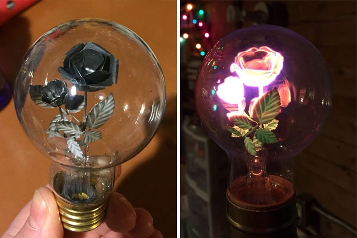 coollamps_016