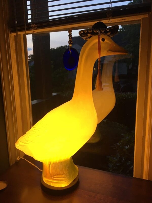 coollamps_017
