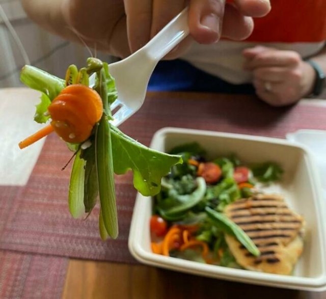 foodfails4_035