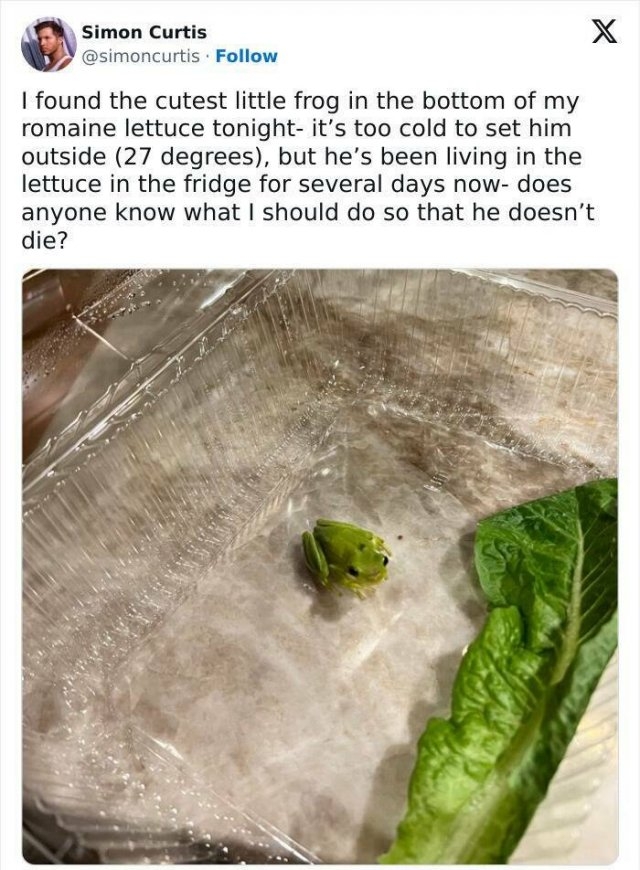 foodfails4_036