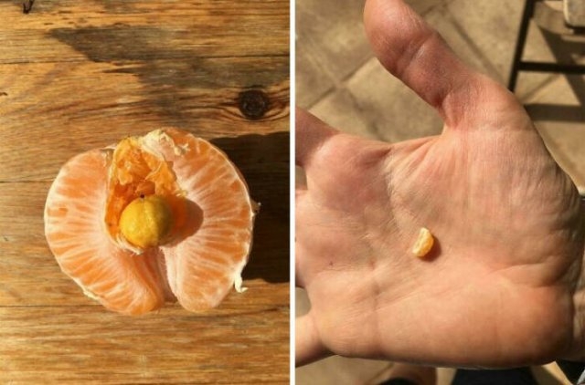 foodfails4_038