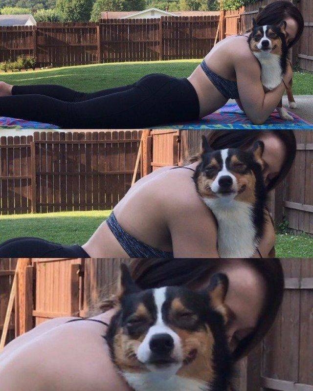 funnyanimals69_034