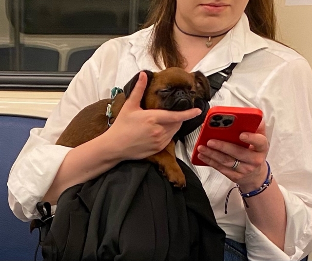 funnysubway21_017
