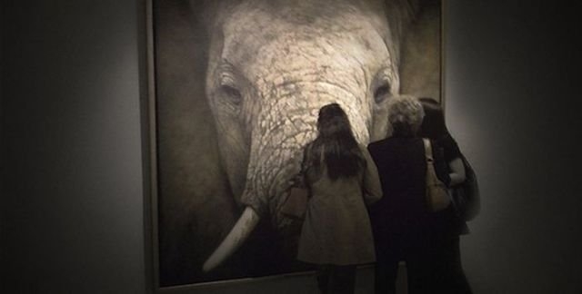 hyperrealisticart_003