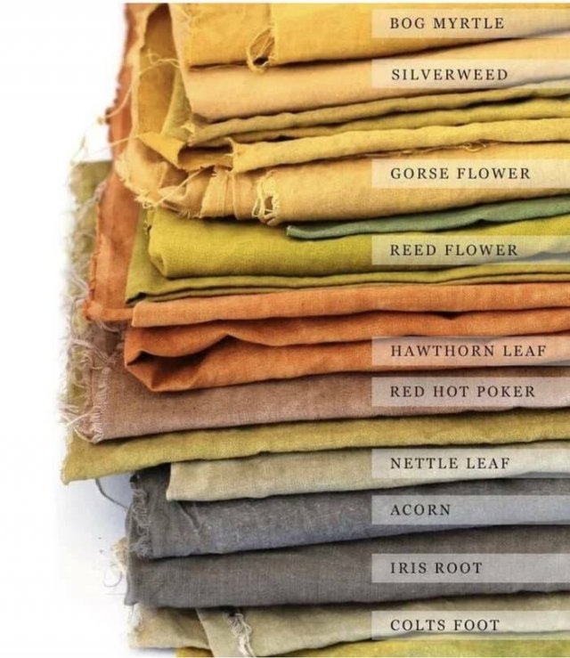 interestingfacts59_002