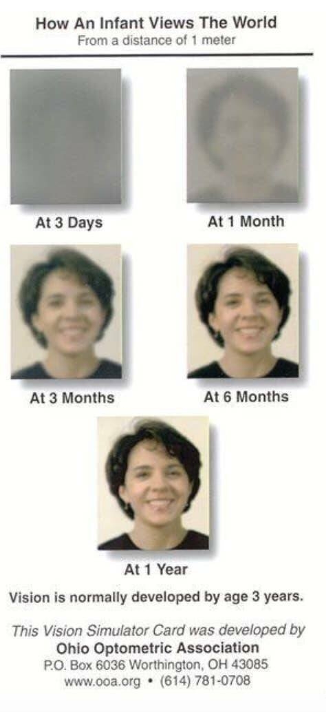 interestingfacts59_010