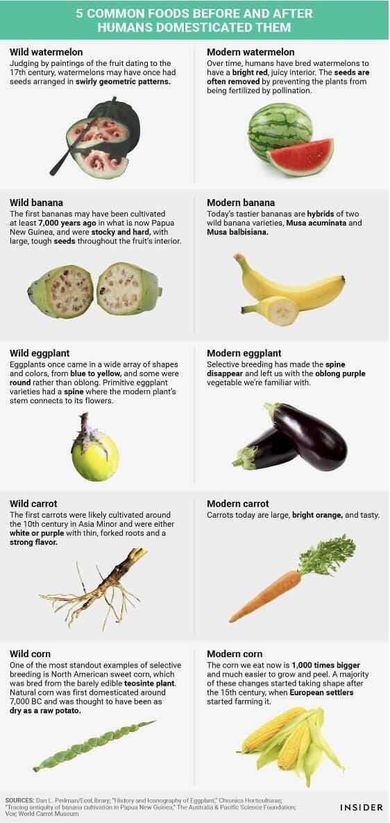 interestingfacts59_021