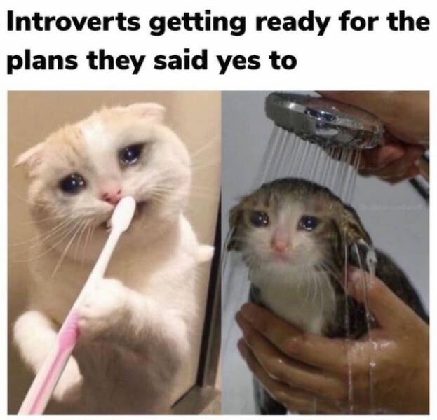 introvertmemes8_012